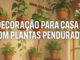 Decoração para Casa com Plantas Penduradas