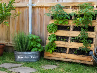 Horta em Pallets