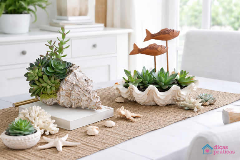 Decoração com Conchas e Suculentas