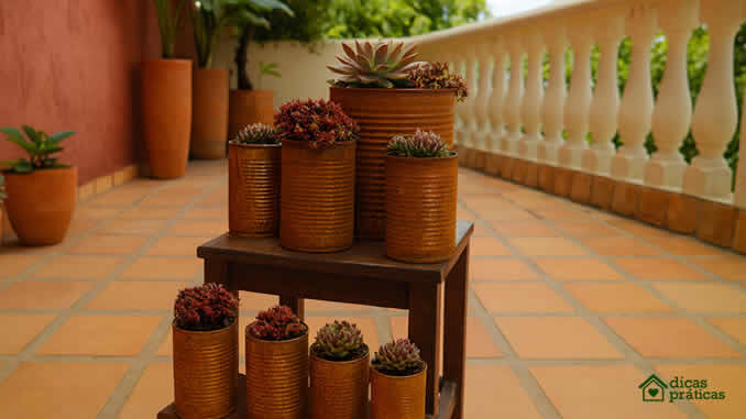 Plantando com Suculentas em Latas