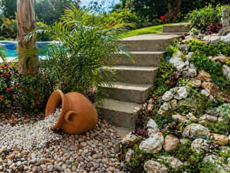 Decoração com Jardim Decorado