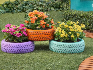 Vasos com Pneus