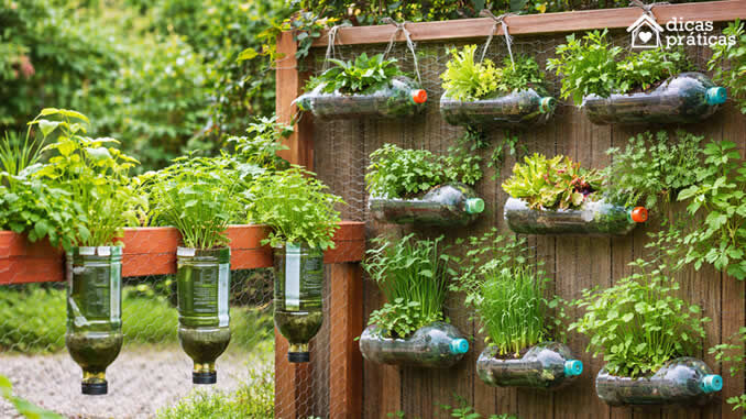 Vaso de Garrafa PET em Horta