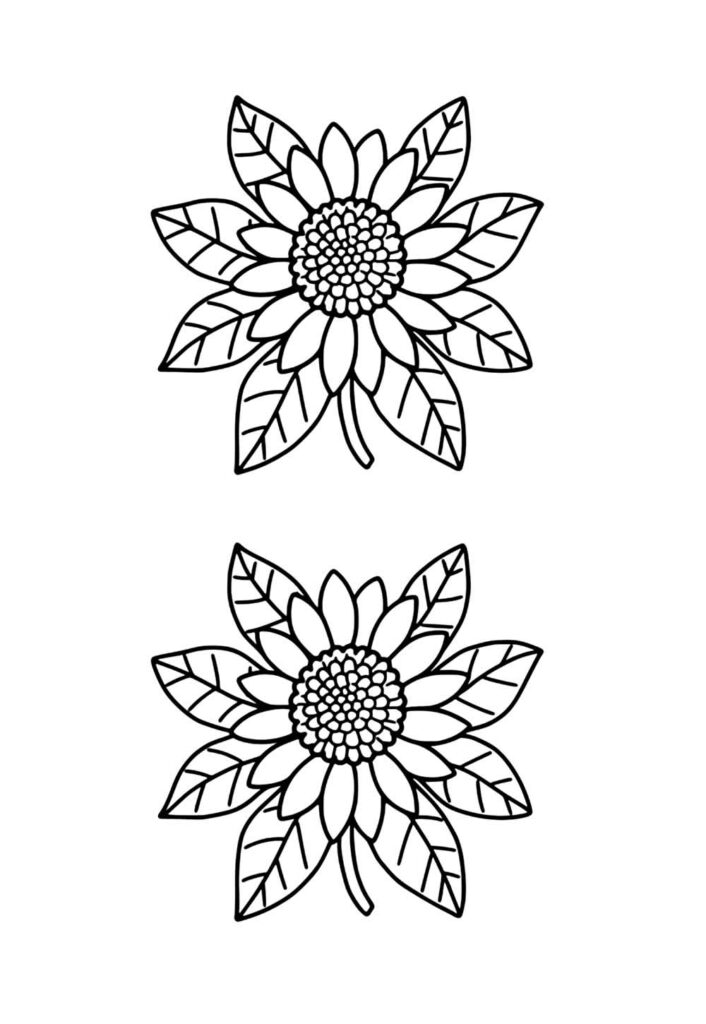 Desenho de Girassóis para colorir