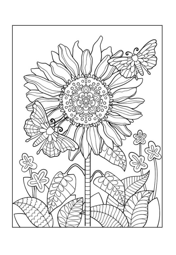 Desenho de Girassol para colorir