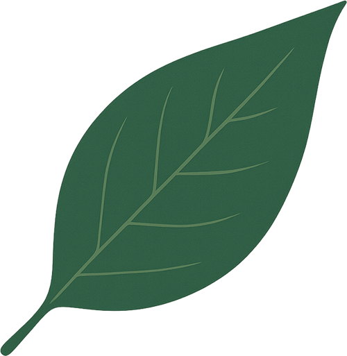 Molde de Folha