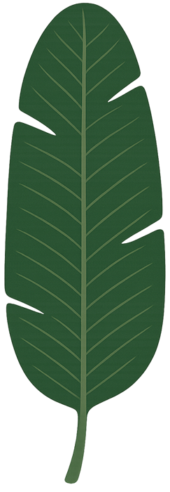 Molde de Folha