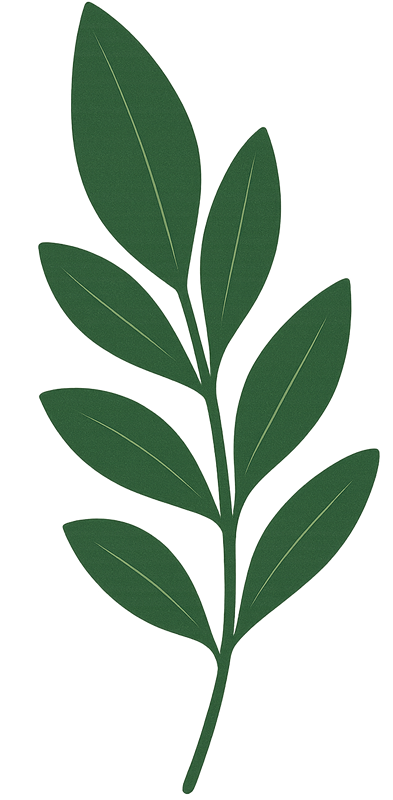 Molde de Folha em PNG