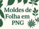 Moldes de Folha em PNG