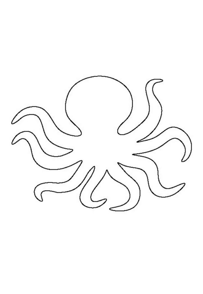 Molde de Polvo