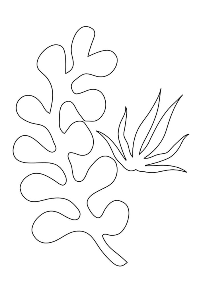 Molde de Alga