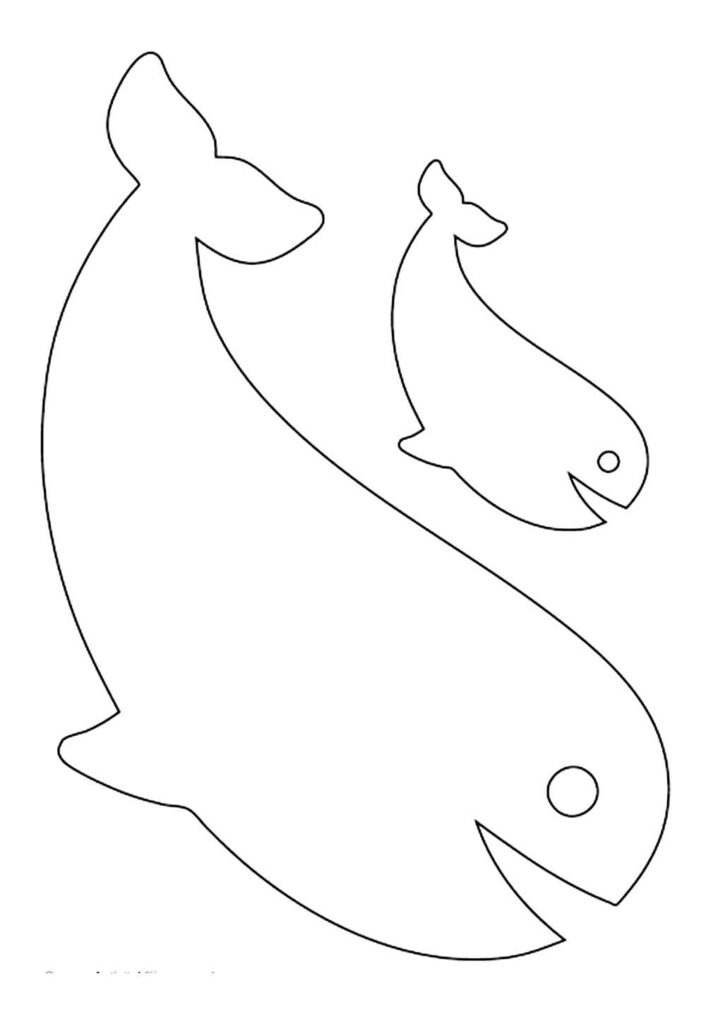 Molde de Baleia
