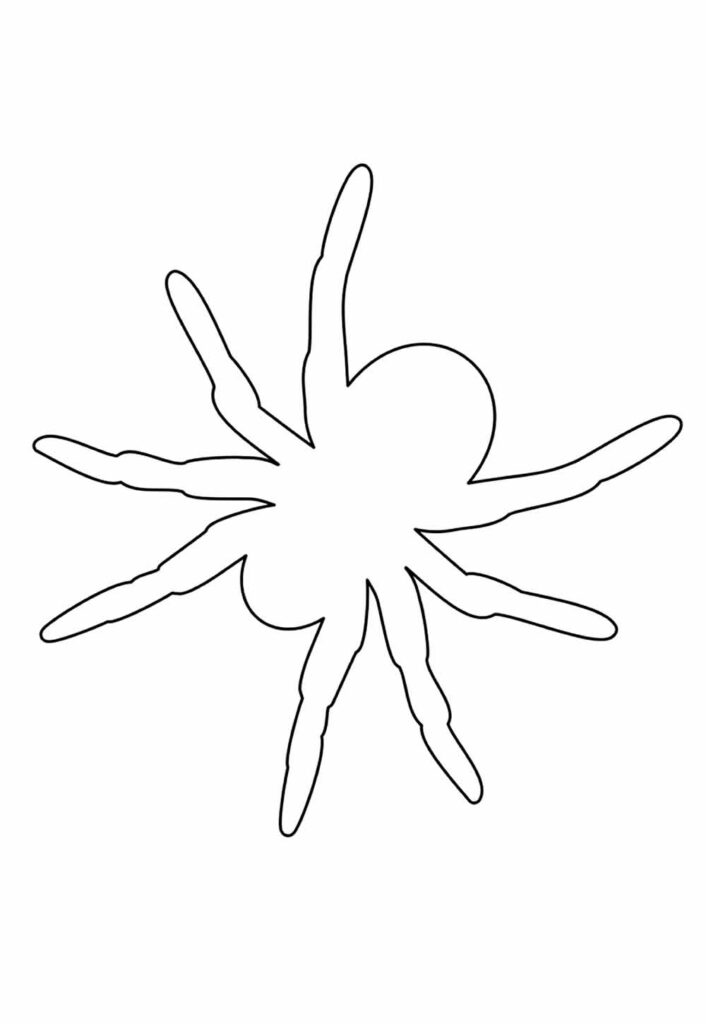 Molde de Aranha para Imprimir