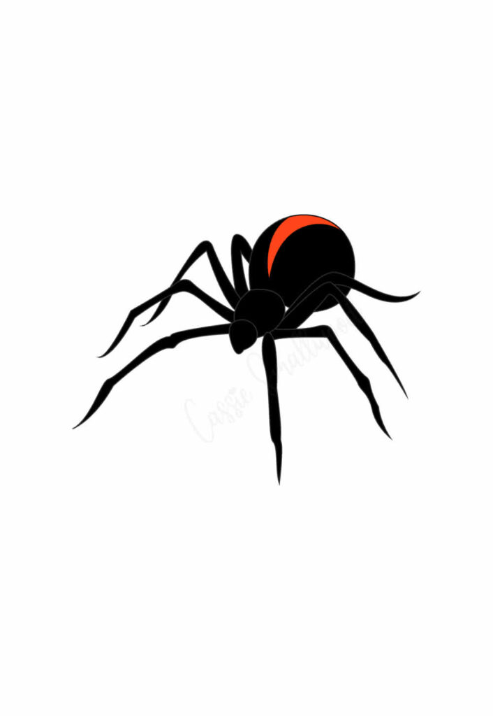 Molde de Aranha