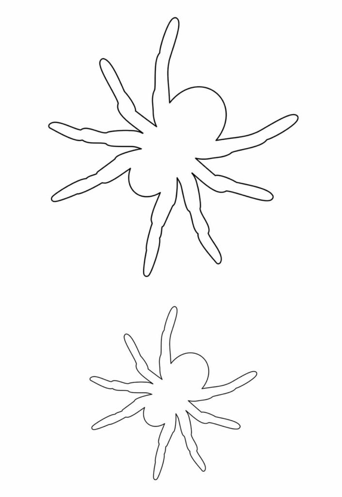 Moldes de Aranha