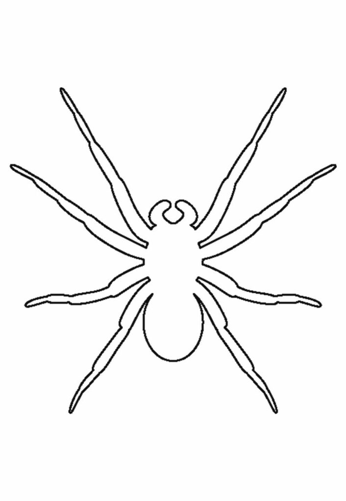 Moldes de Aranhas
