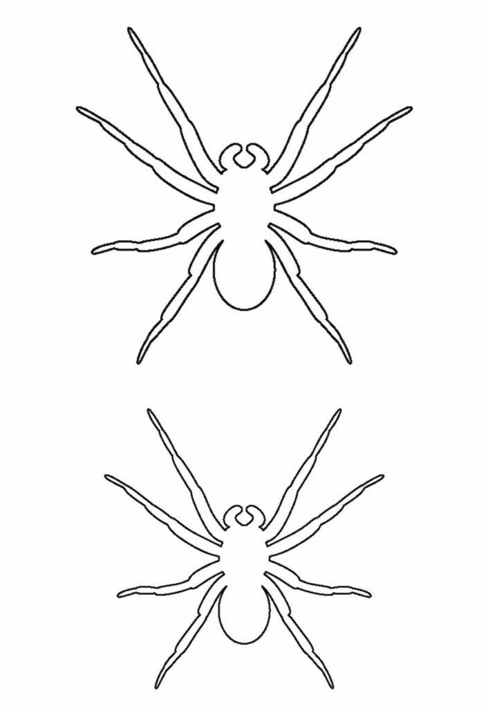 Molde de Aranhas