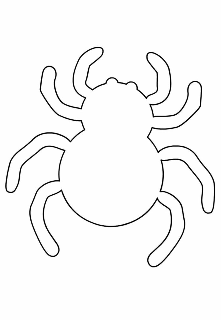 Molde de Aranha para Imprimir
