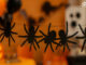 Moldes de Aranha para Decoração - Halloween