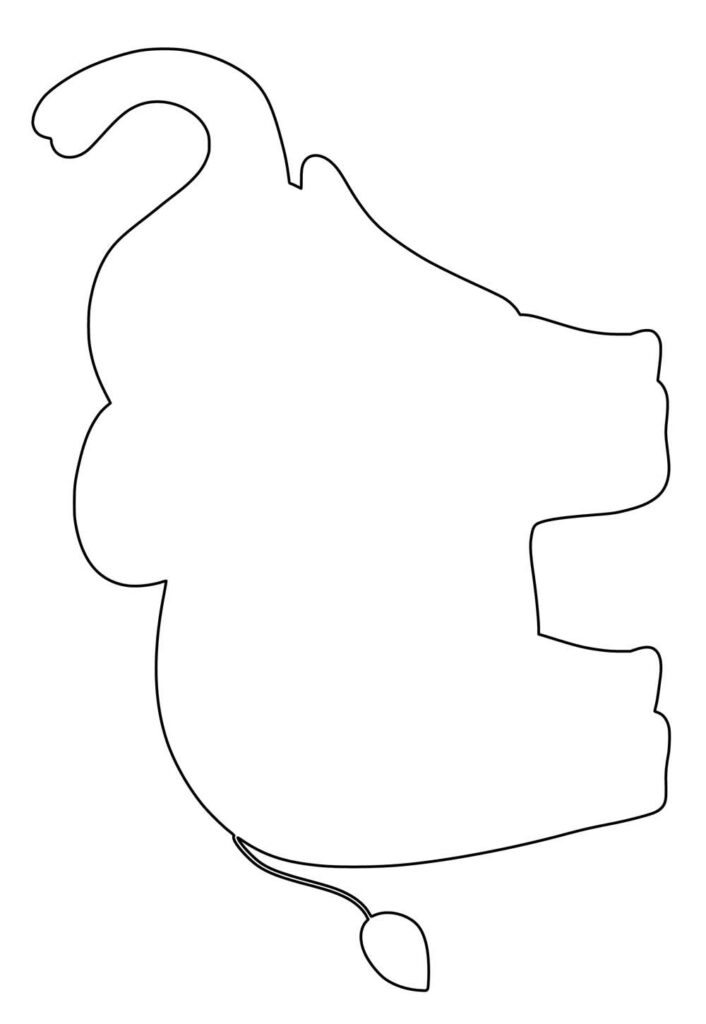 Molde de Elefante Fofo