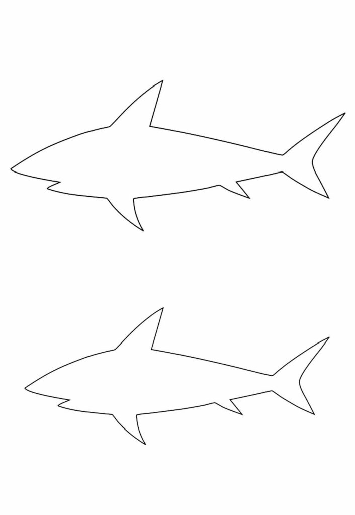 Moldes de Tubarão