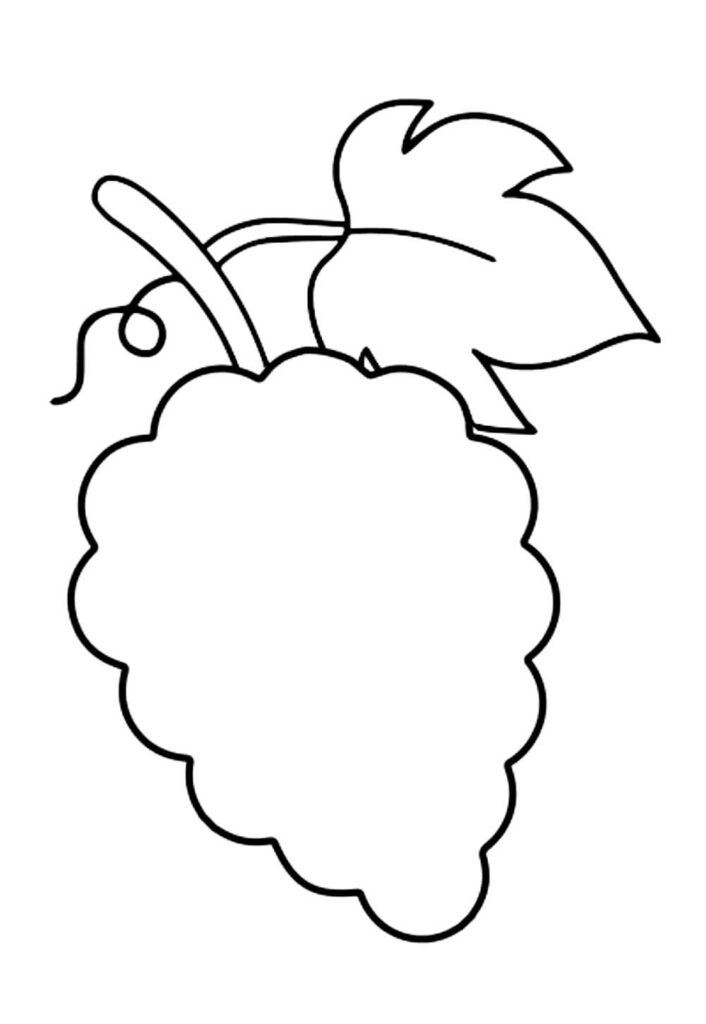 Molde de Uva
