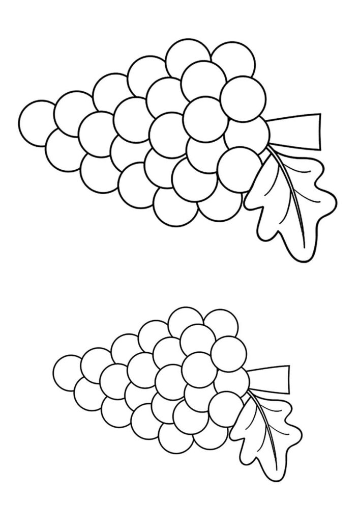 Molde de Uvas