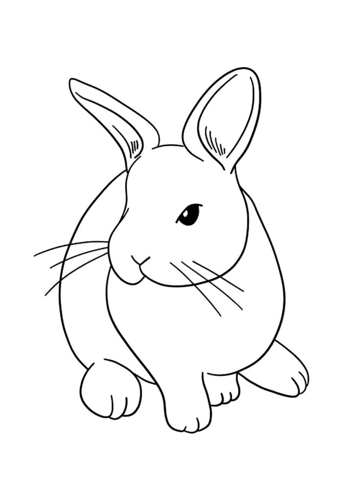 Molde de Coelho para Colorir