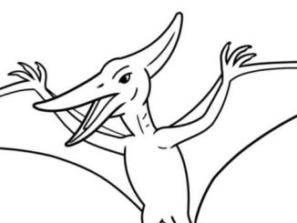 Desenhos de Pterodáctilo