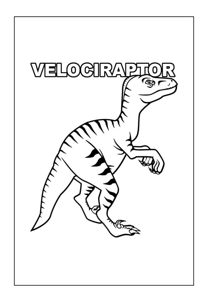 Desenhos de Velociraptor para imprimir e colorir